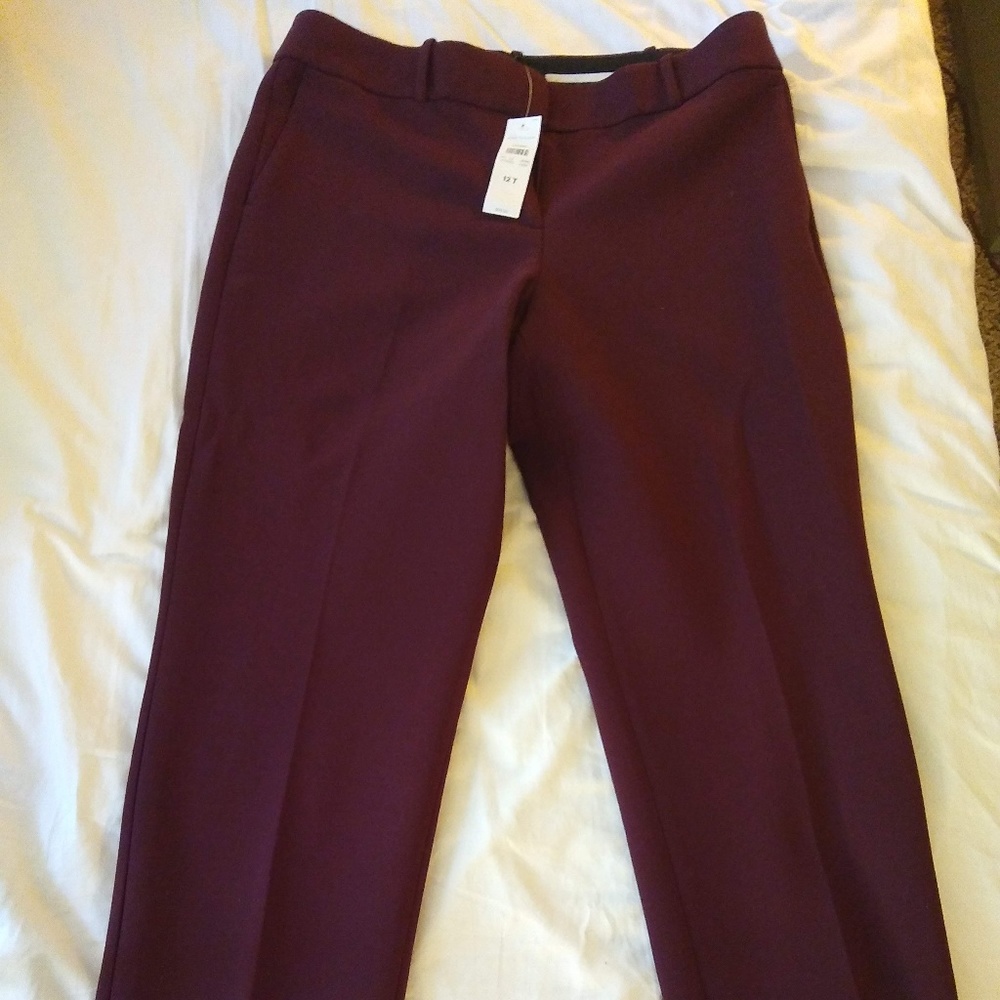 Anny Taylor NWT Burgundy pants 12T tall